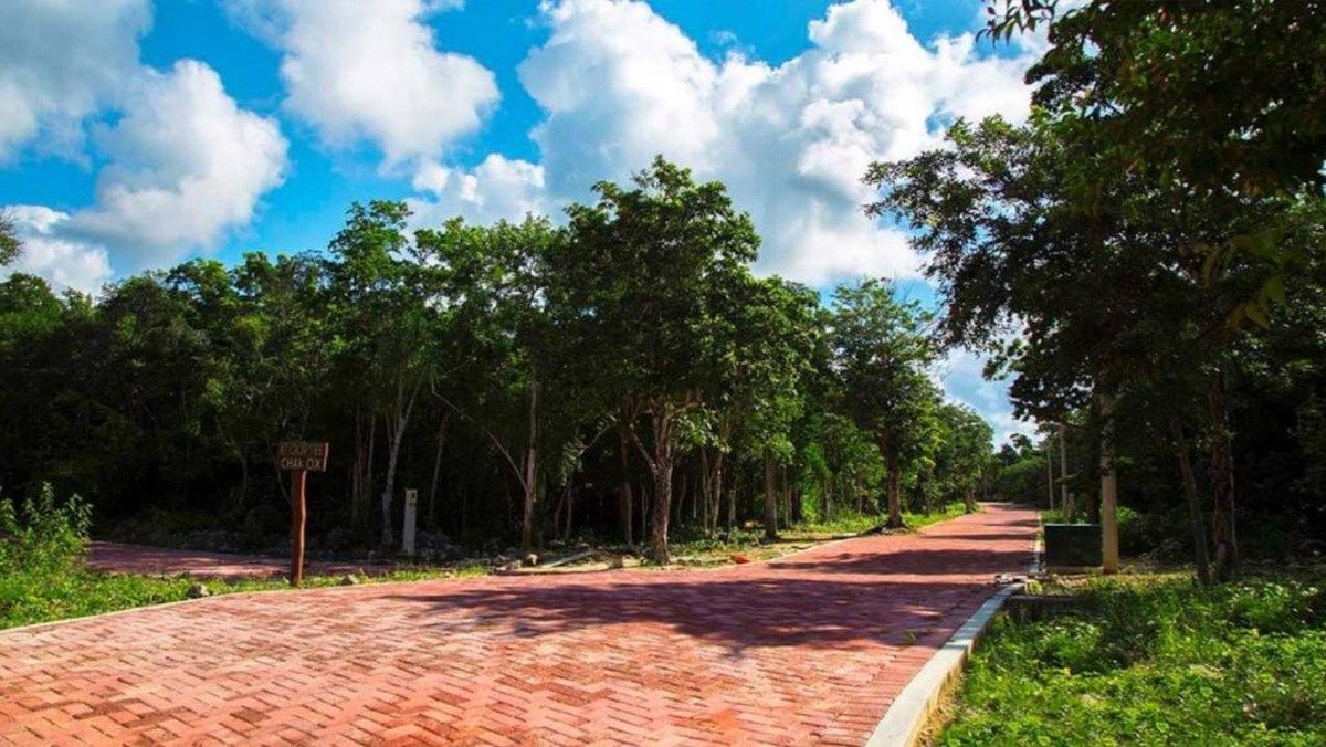 Land in Chemuyil, Tulum, 5 min from Xcacel BEACH FORECLOSURE - foto 3