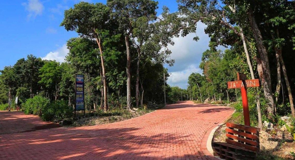 Land in Chemuyil, Tulum, 5 min from Xcacel BEACH FORECLOSURE - foto 5