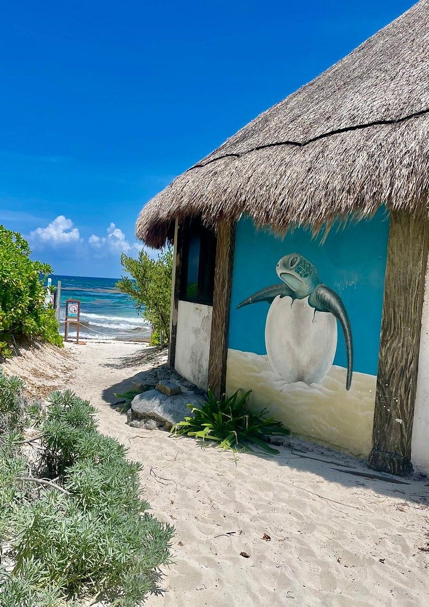 Land in Chemuyil, Tulum, 5 min from Xcacel BEACH FORECLOSURE - foto 4