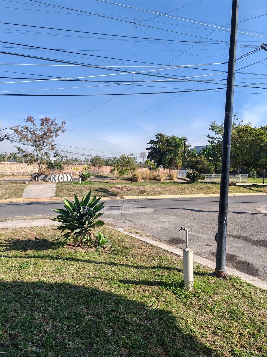 Terreno habitacional en venta a pie de calle en esquina, Tlaquepaque - foto 5