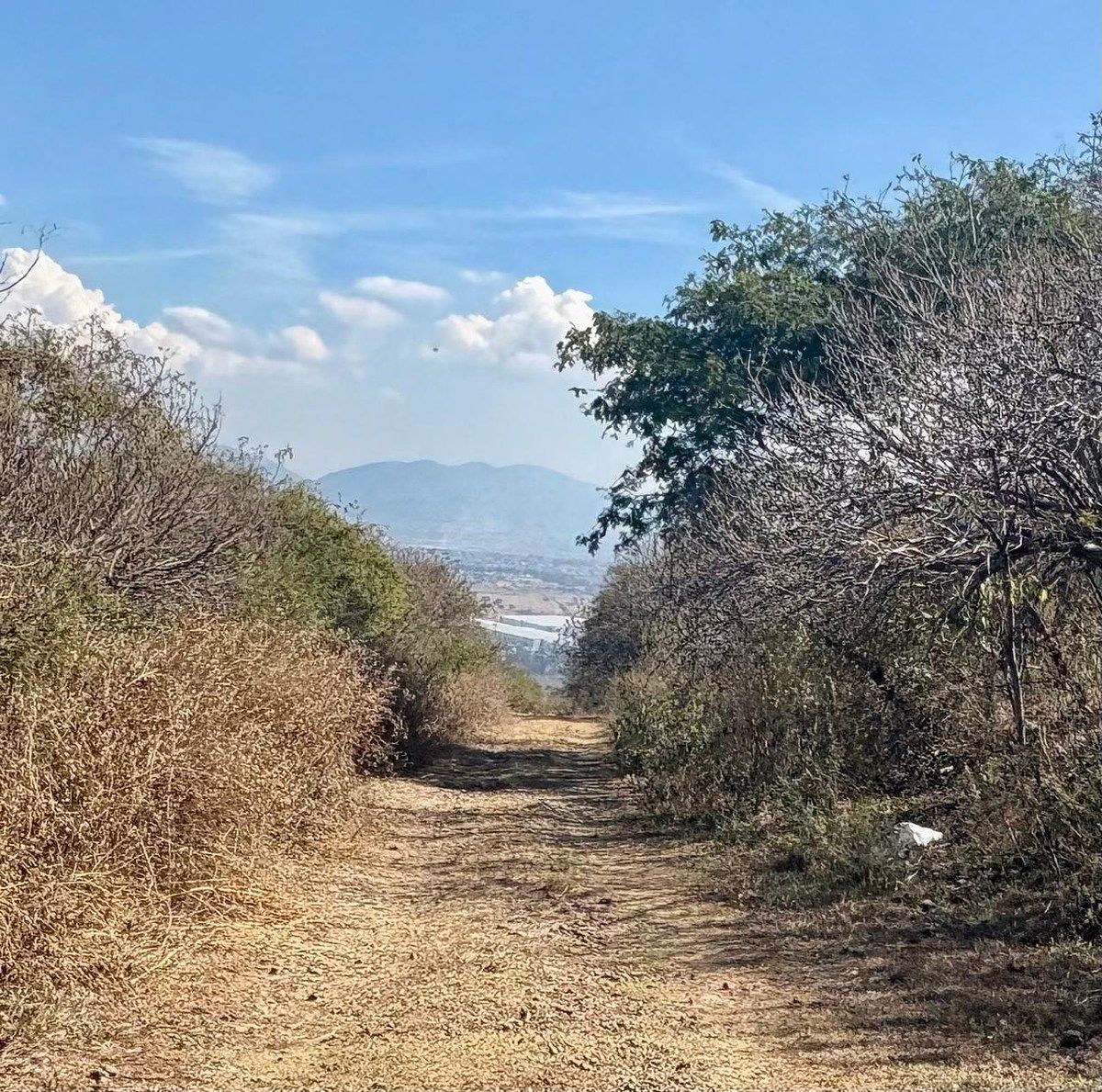 Land for Sale in Huerta Vieja Ixtlahuacán de los Membrillos - foto 3