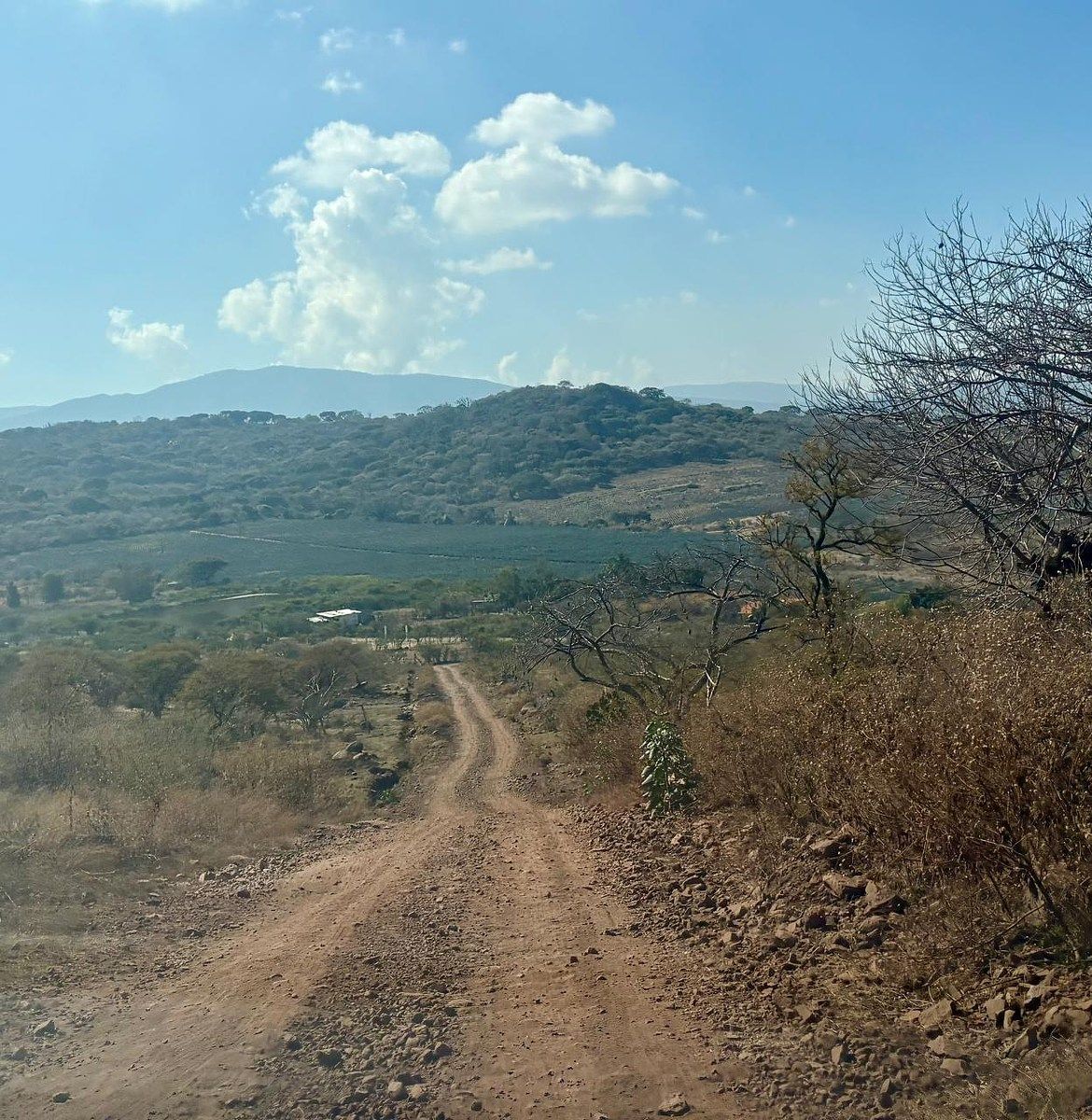 Land for Sale in Huerta Vieja Ixtlahuacán de los Membrillos - foto 4