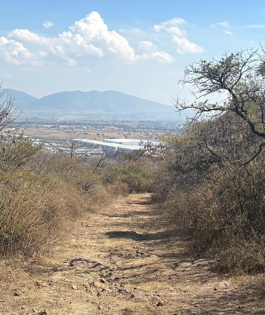 Land for Sale in Huerta Vieja Ixtlahuacán de los Membrillos - foto 1