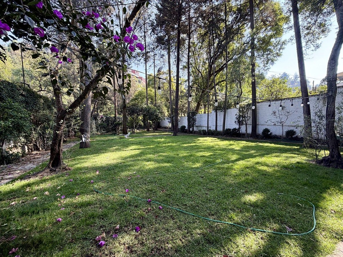 5 de 32: Gran Jardín