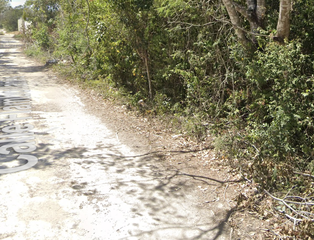 10 de 13: Acceso a Terreno en Colonia Alamos I