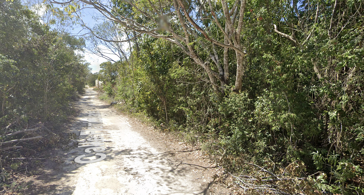 11 de 13: Acceso a Terreno en Colonia Alamos I