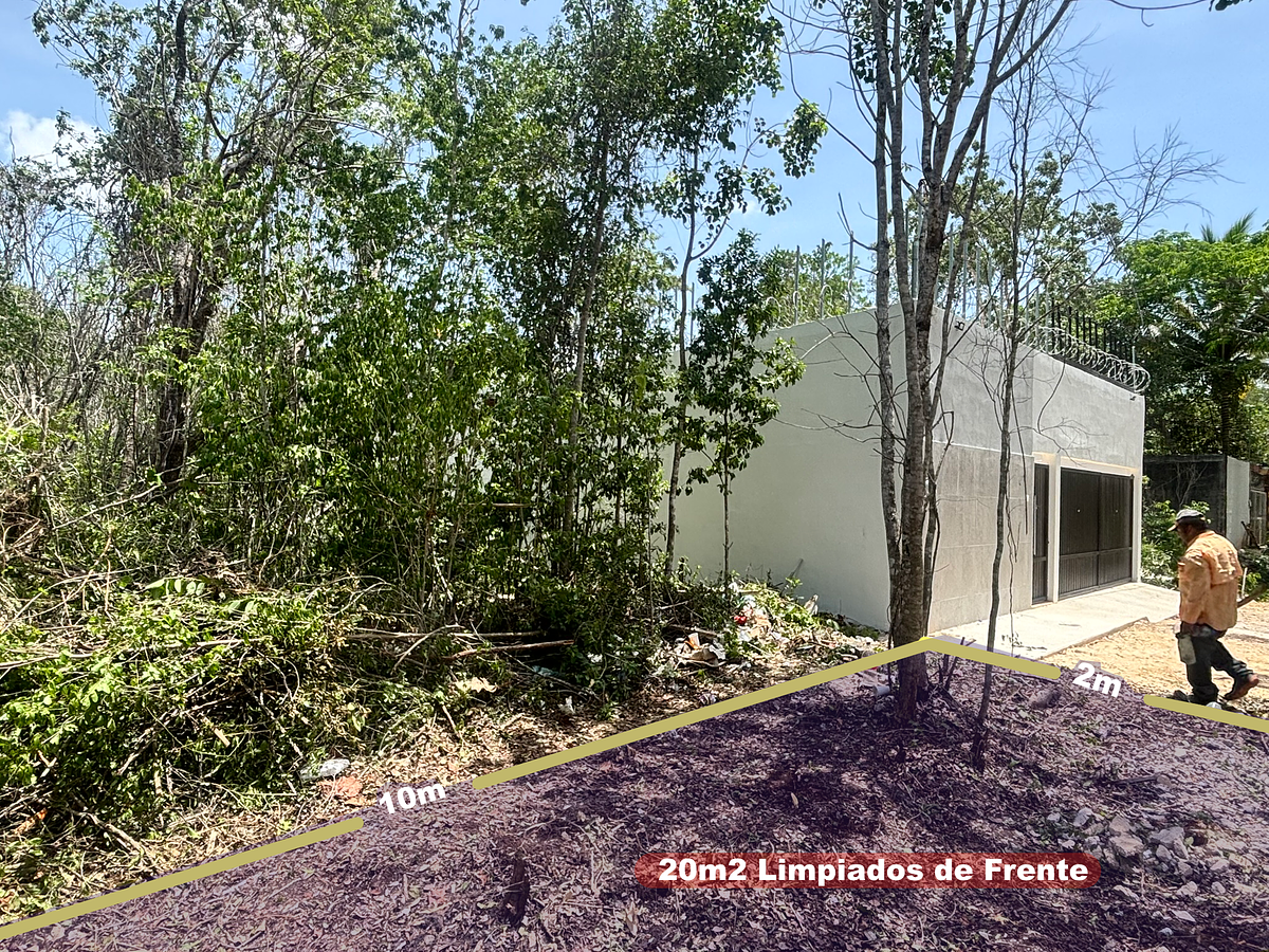 12 de 13: Frente antes de Fachada Terreno Alamos I