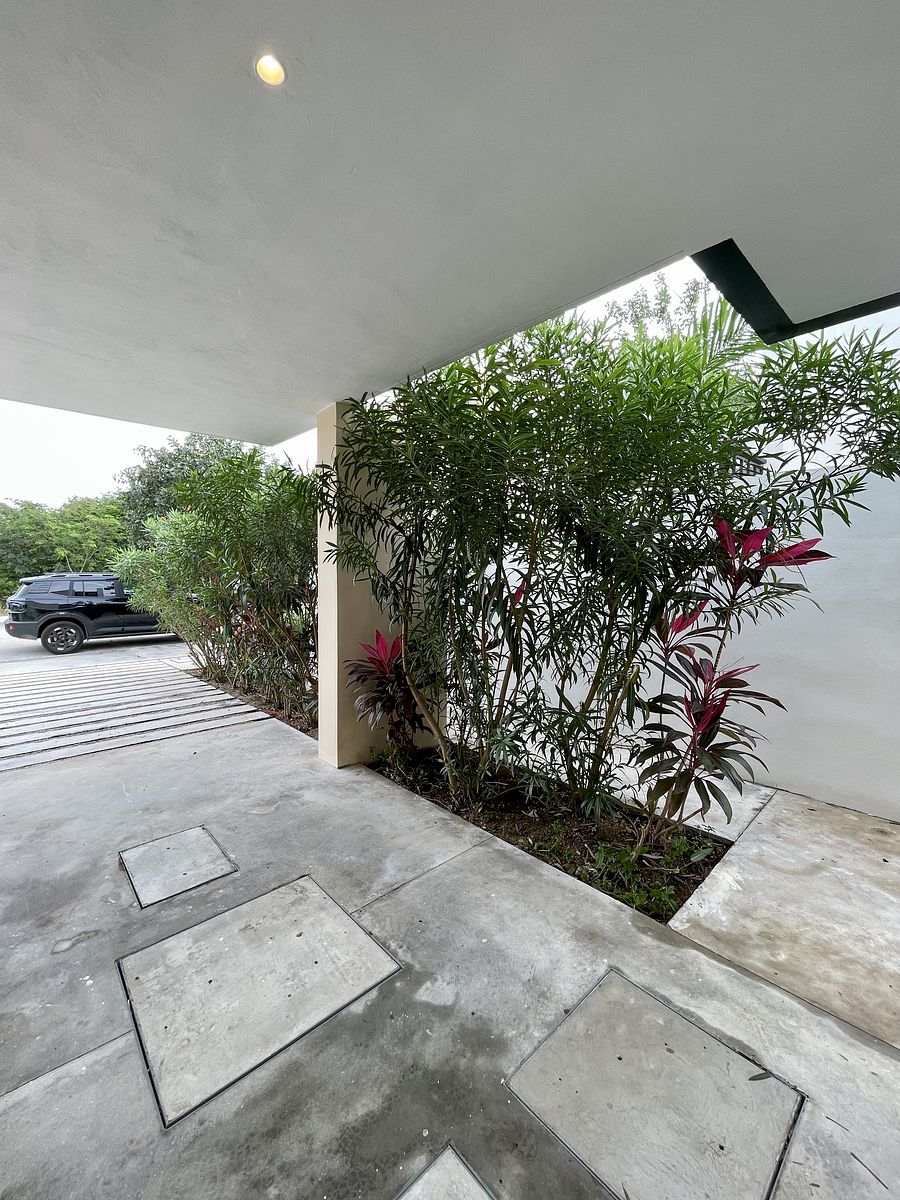 8 de 37: Jardinera en cochera