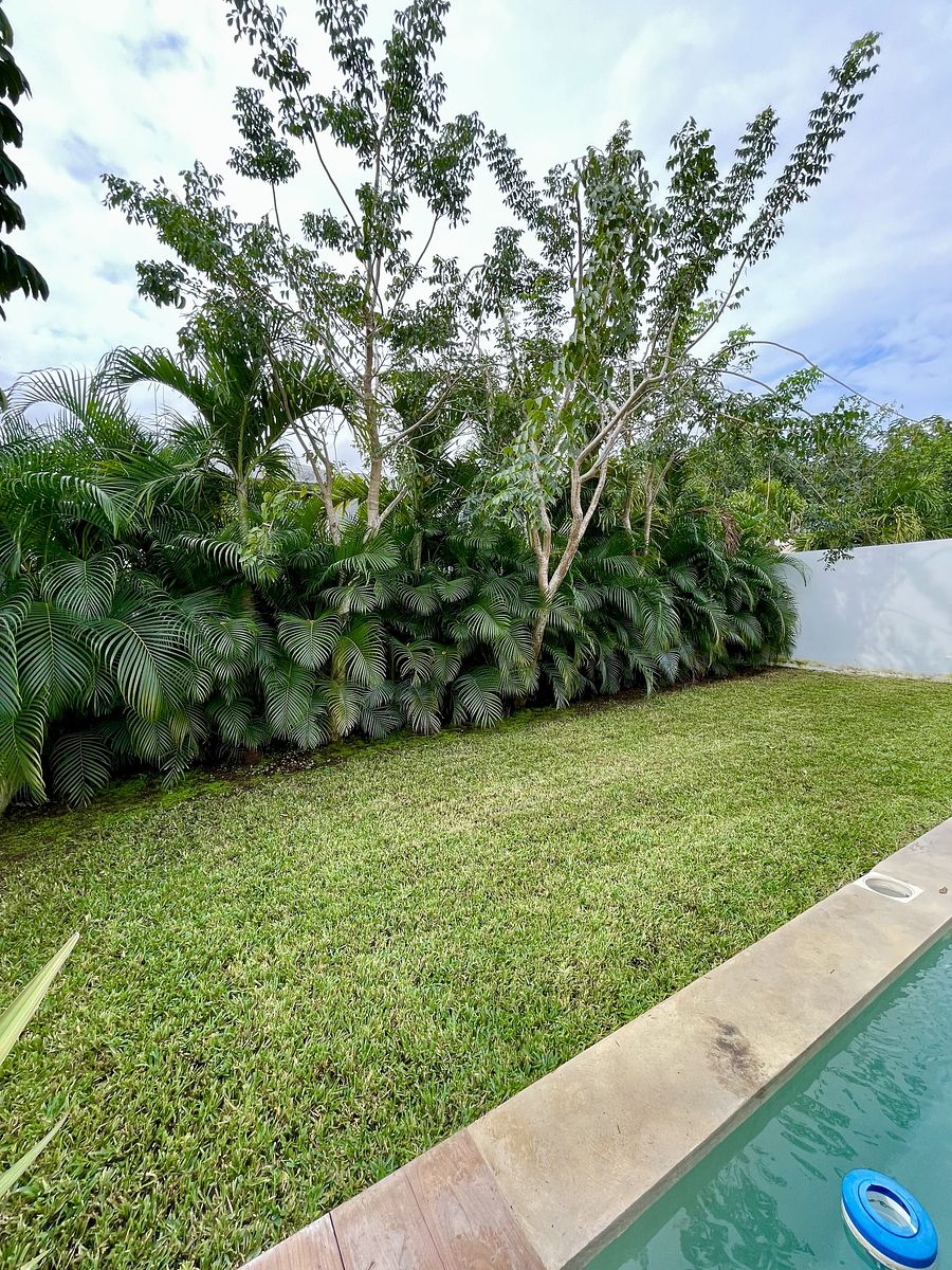 16 de 37: Amplio Jardín