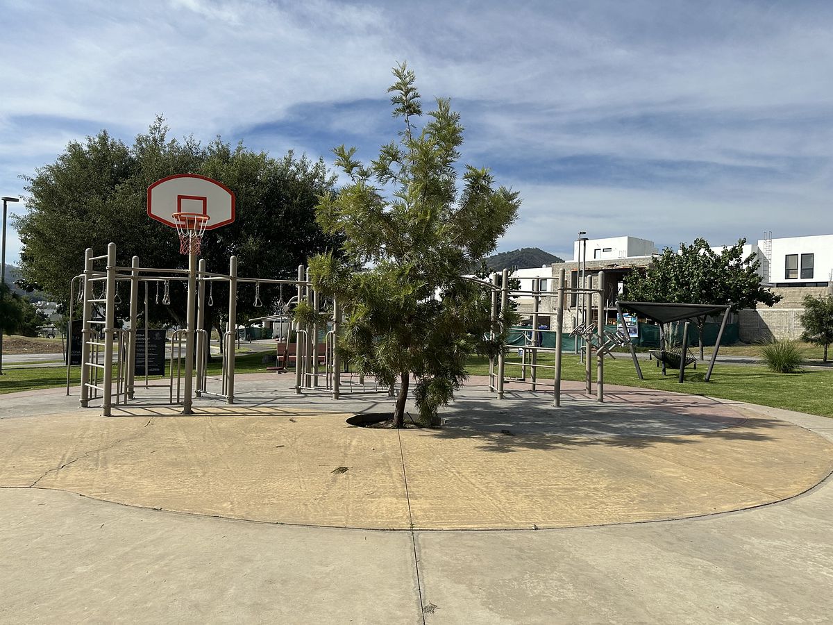 35 de 40: Calistenia y basket ball