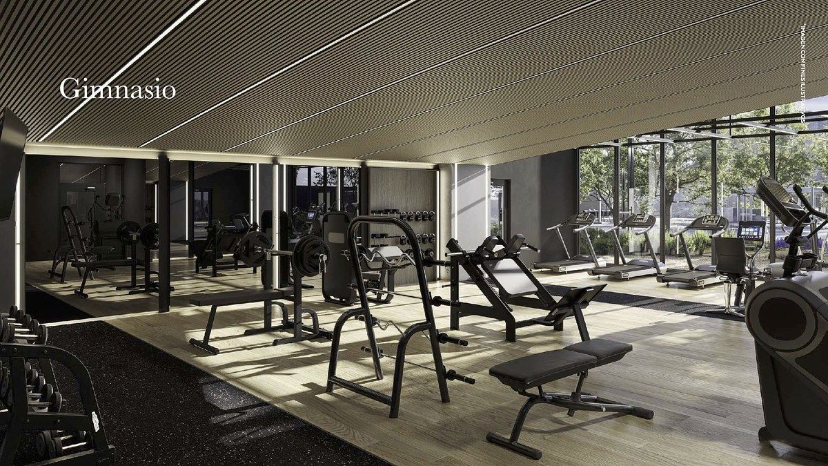 11 of 14: Gimnasio