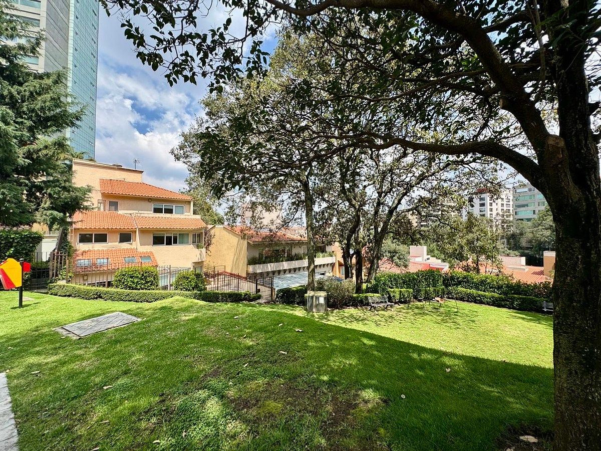 23 de 23: jardin comun