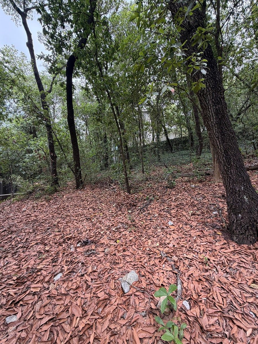 TERRENO EN VENTA  BOSQUES DE SAN ANGEL, PALMILLAS, foto 1 de 7