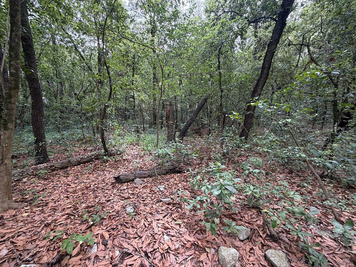 Terreno en Bosques de San Ángel Sector Palmillas, San Pedro Garza García, foto 7 de 7