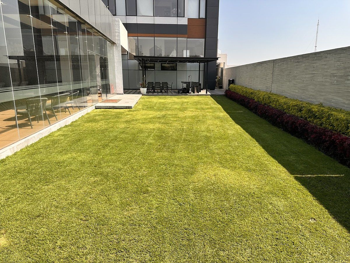 31 de 38: JArdín con asadores