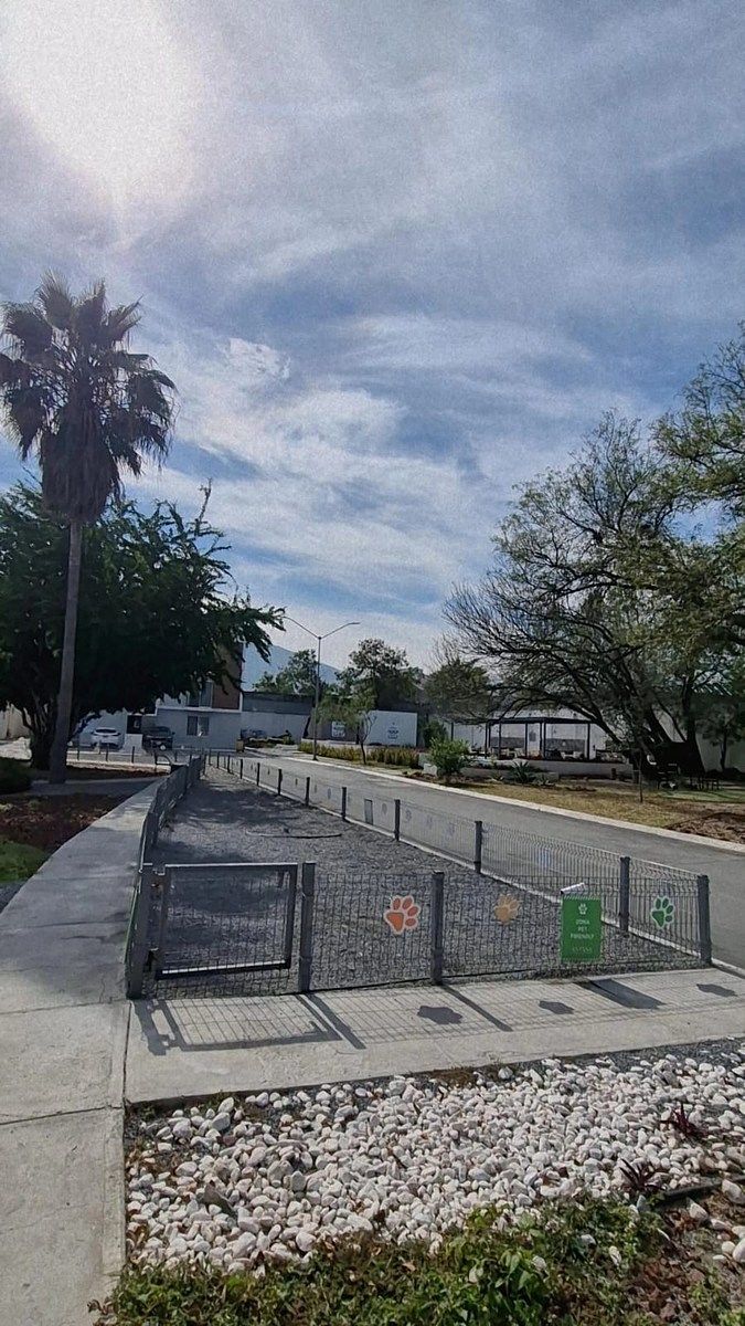 12 de 15: AREA D EMASCOTAS