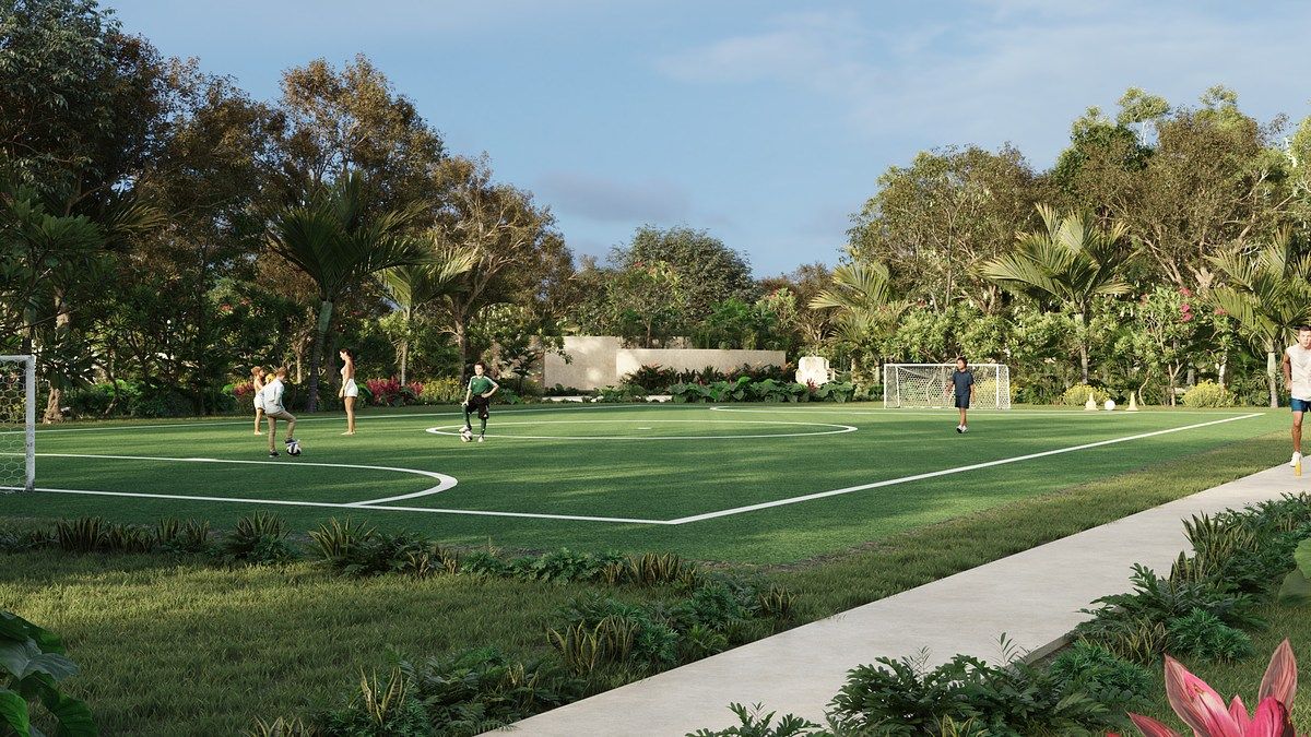 5 de 12: Cancha Futbol 5