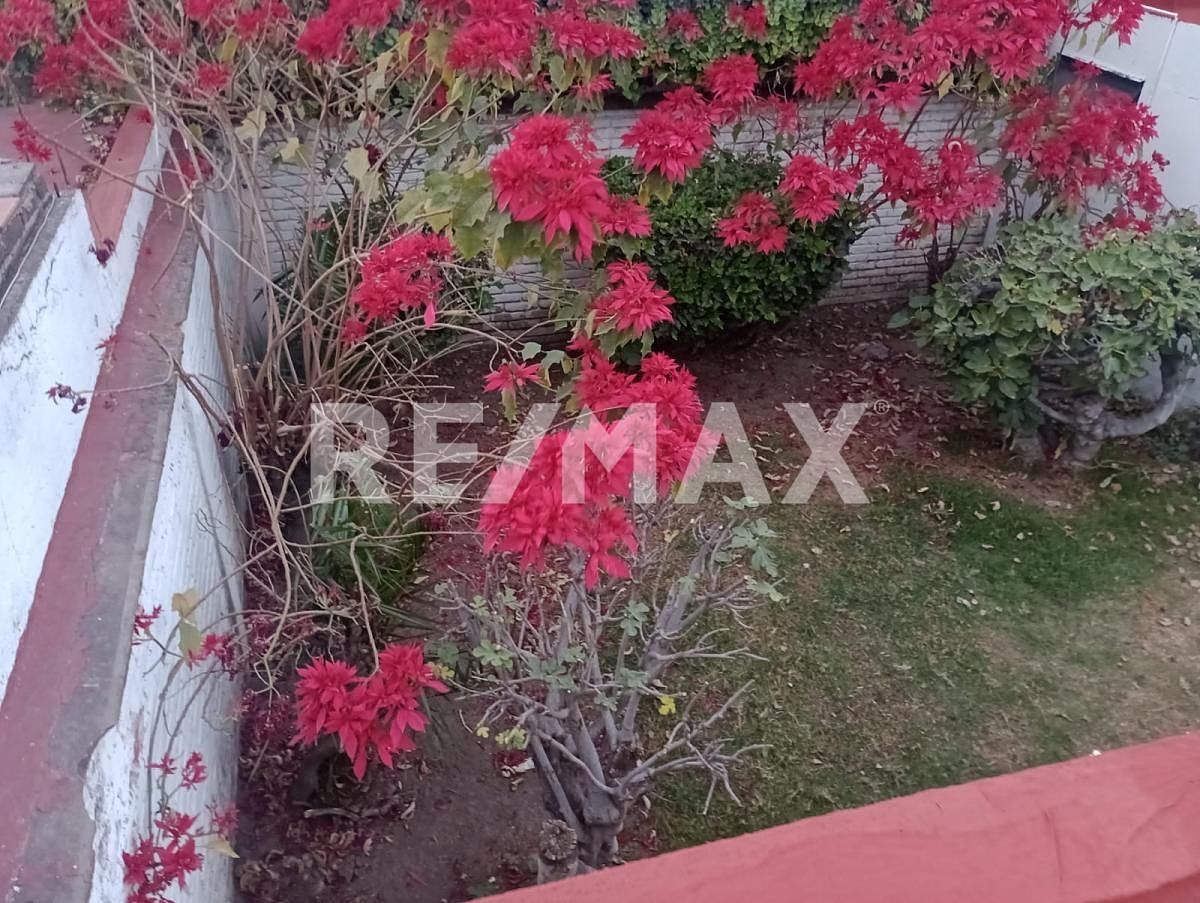 17 of 23: jardín trasero