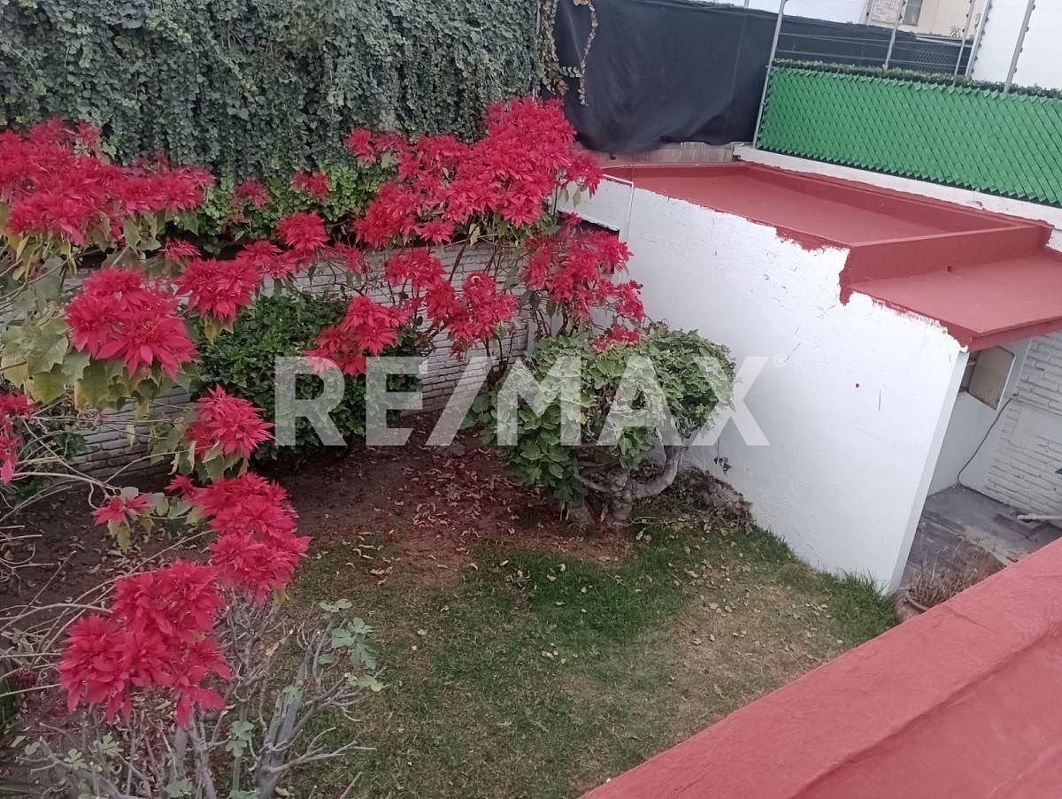 18 de 23: jardín trasero