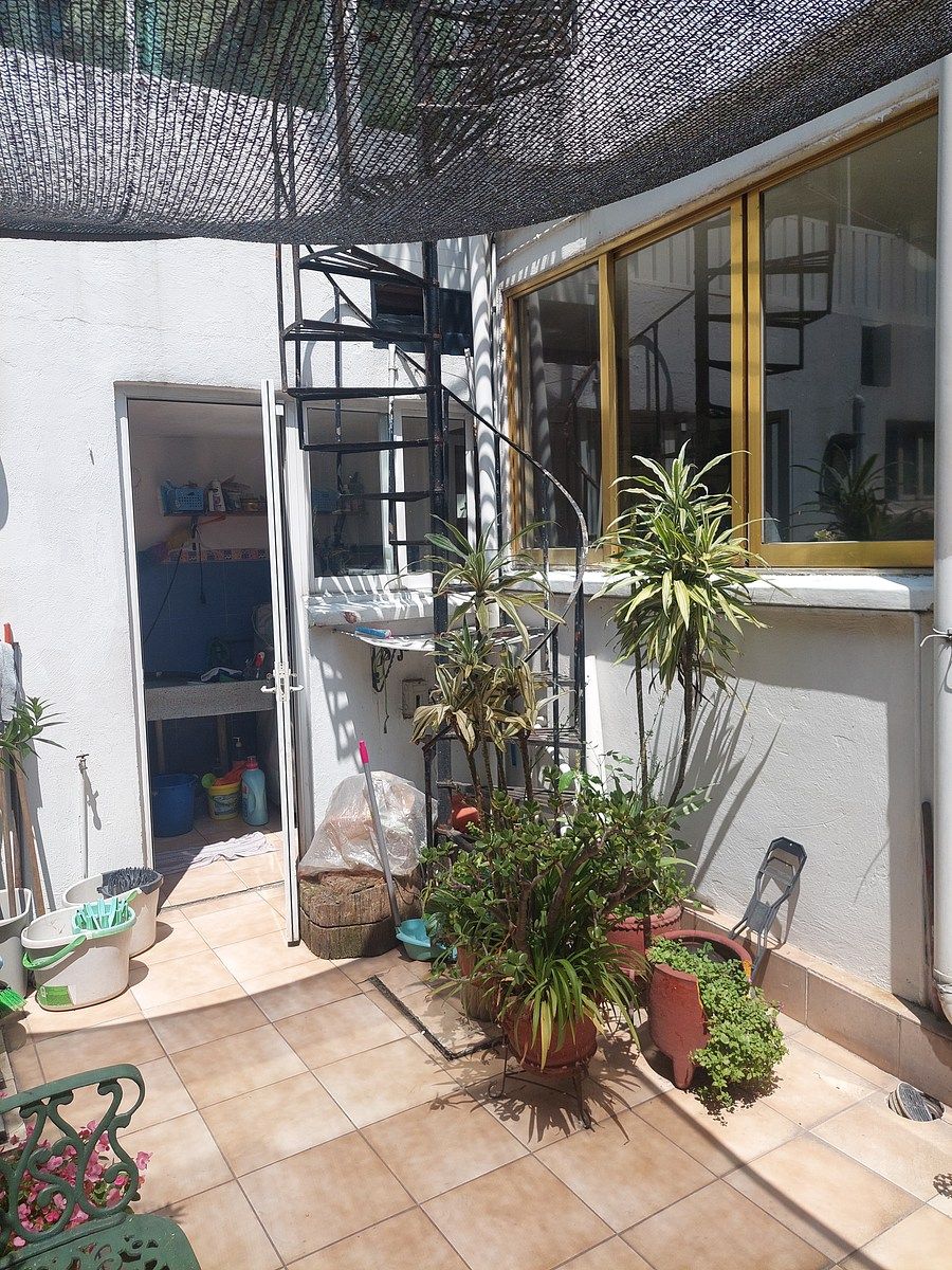 5 de 15: Patio trasero