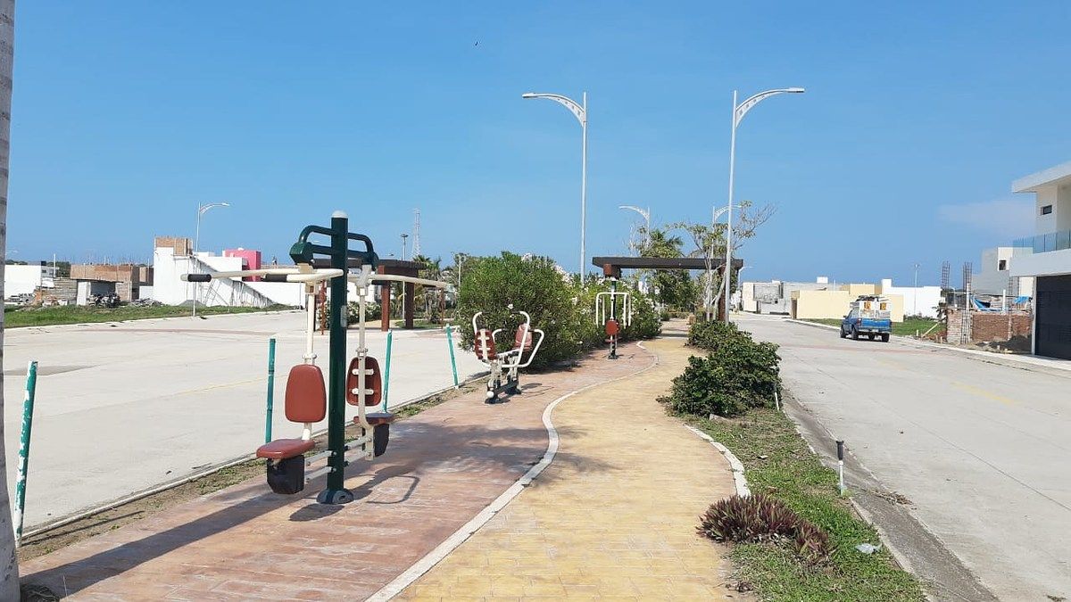38 de 38