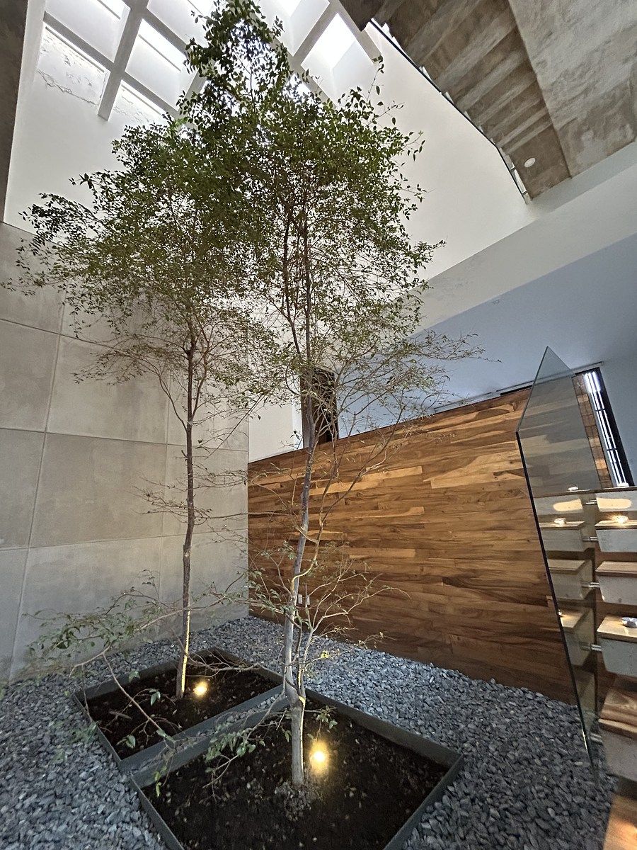 15 of 40: Area central decorativa