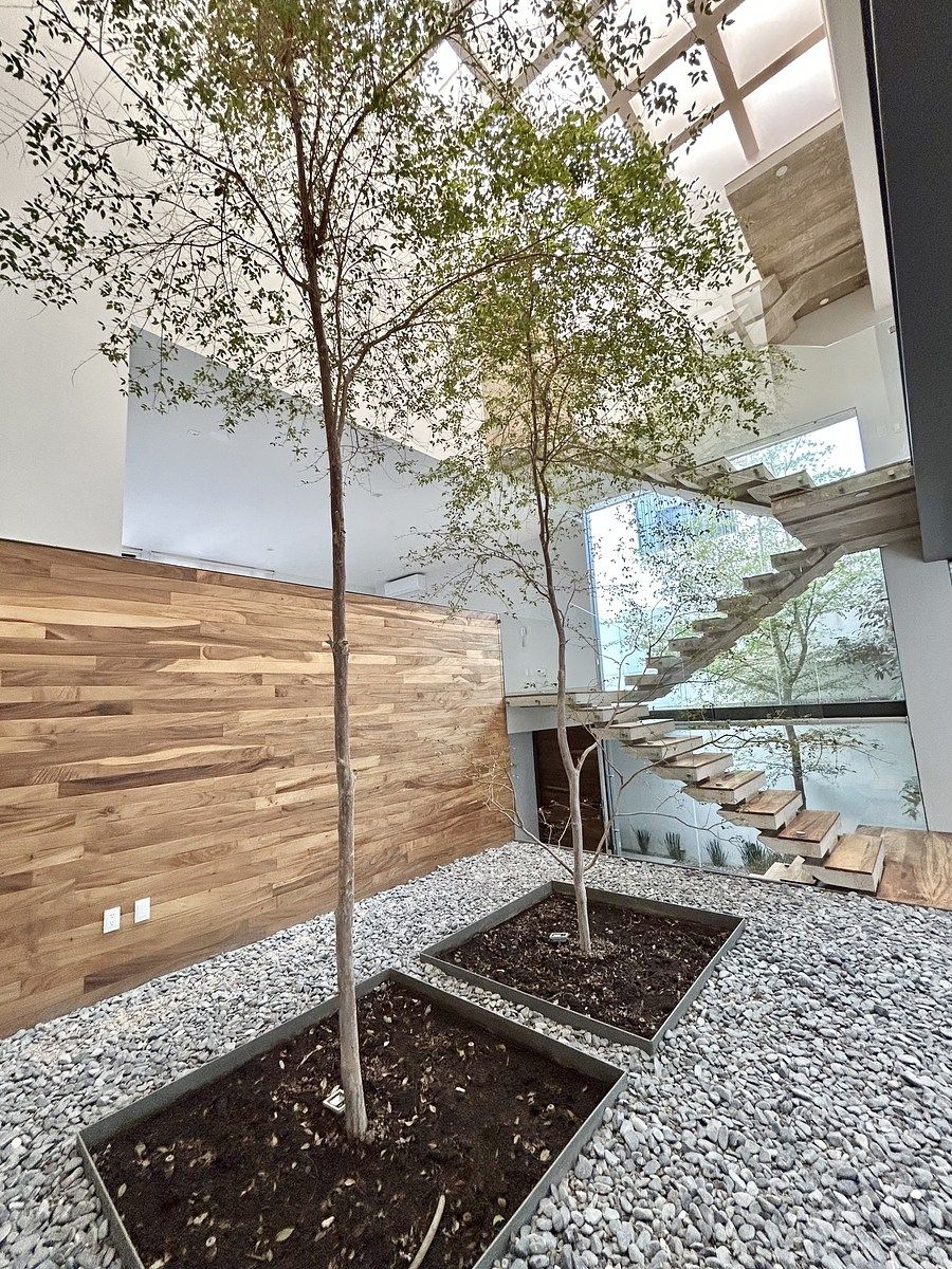 5 de 17: Area Central