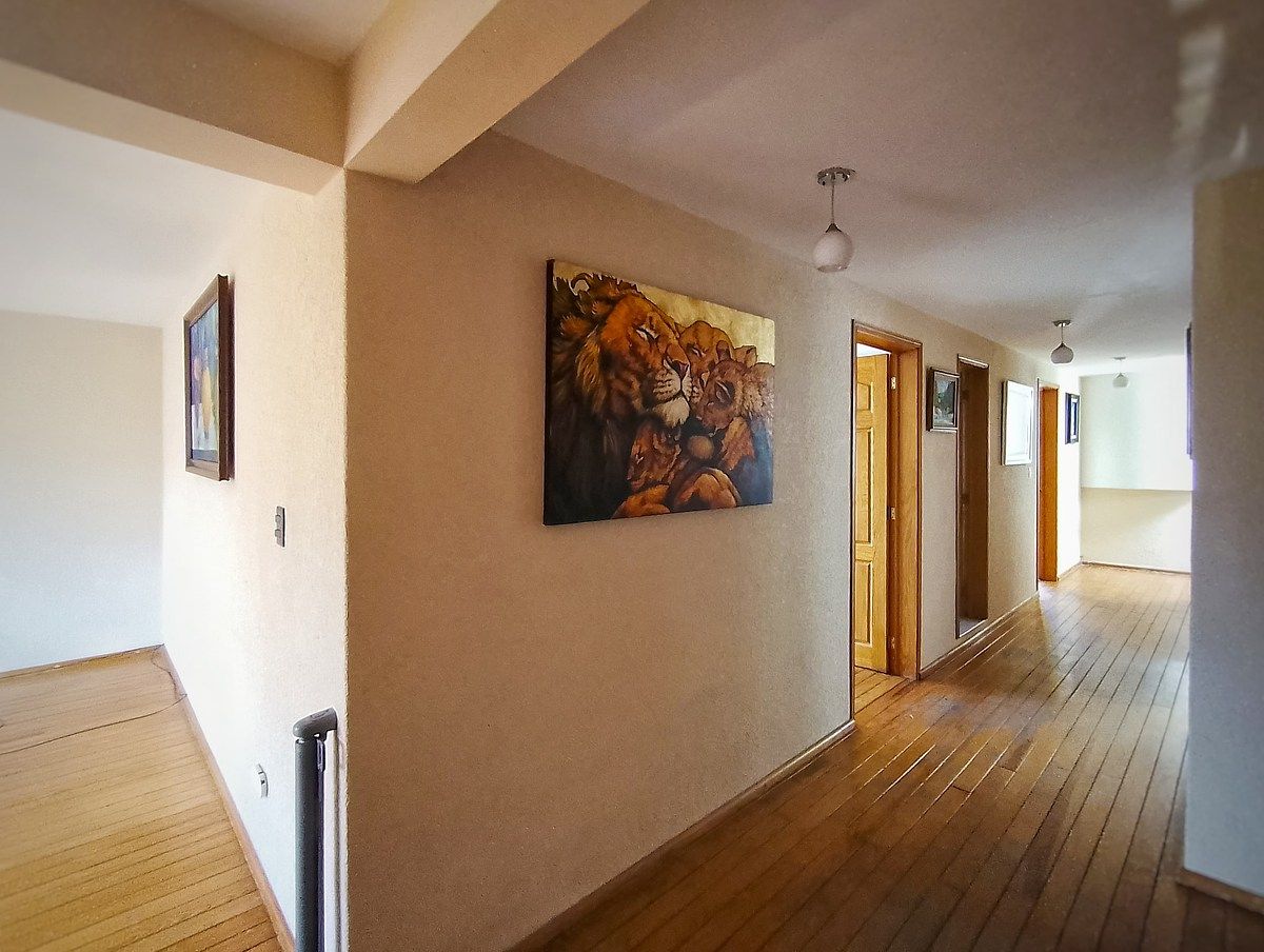 4 de 17: Departamento en Renta en San Pedro Mártir Rayo Vende ®