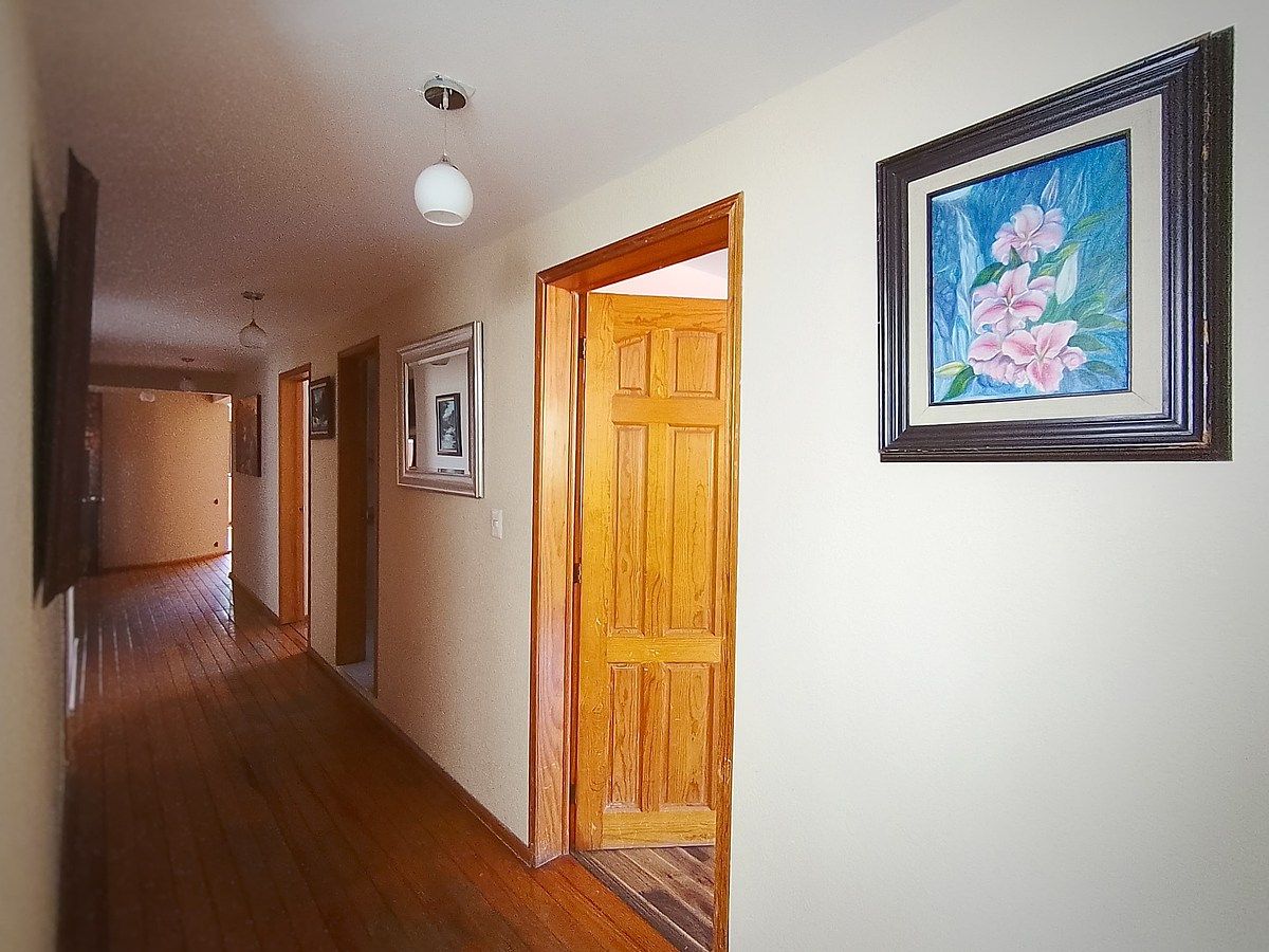 5 de 17: Departamento en Renta en San Pedro Mártir Rayo Vende ®