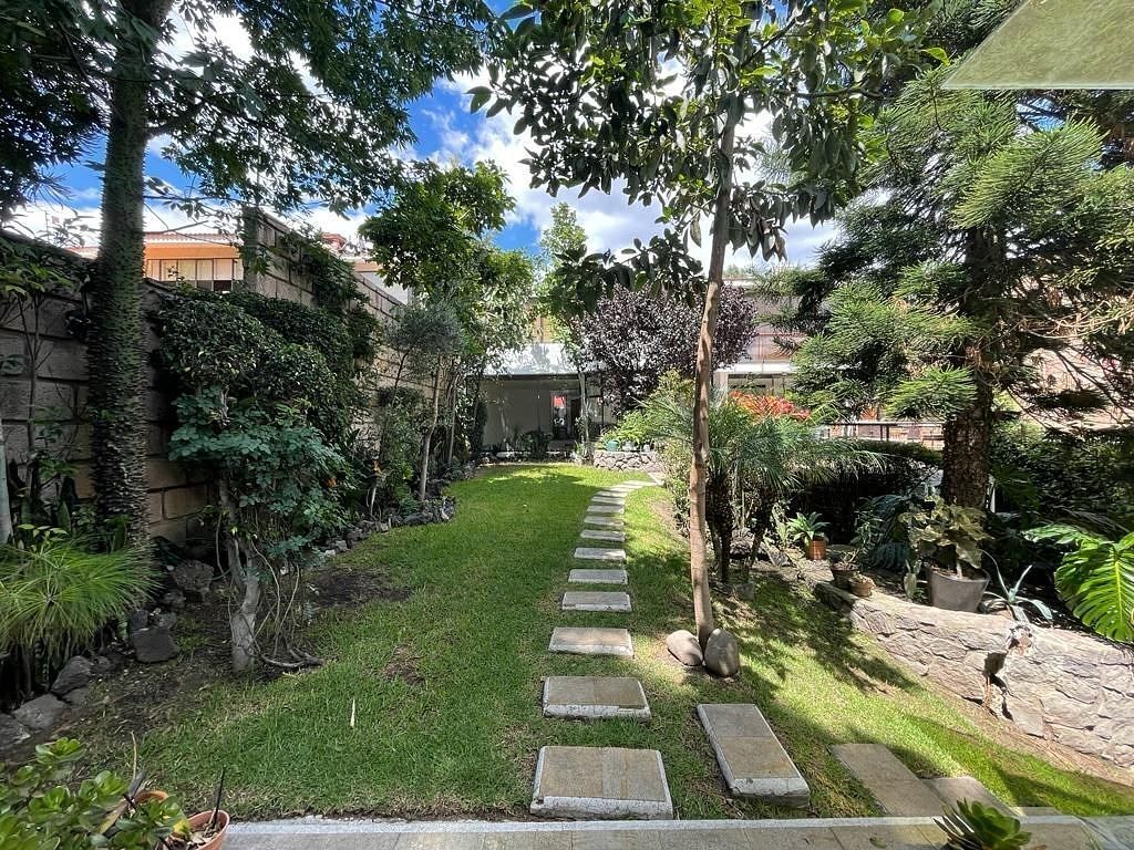 6 de 20: Casa en Renta en Jardines del Pedregal Rayo Vende ®