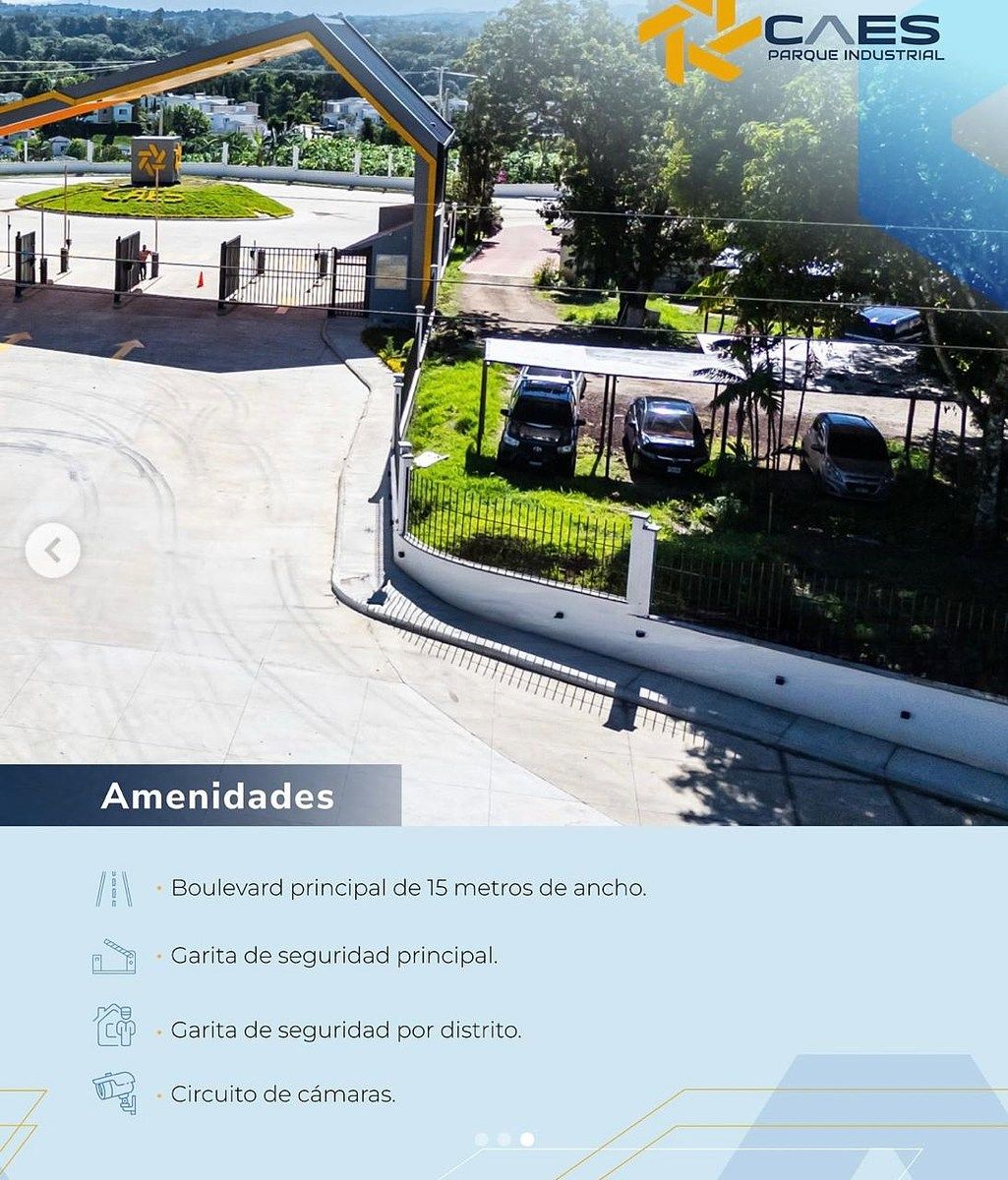 6 de 12