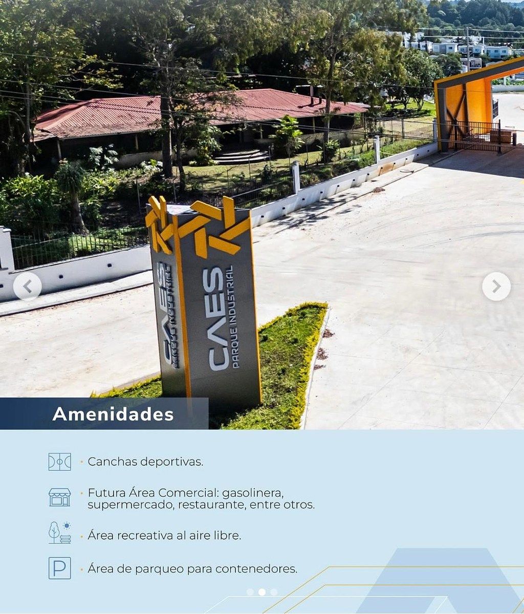 8 de 12