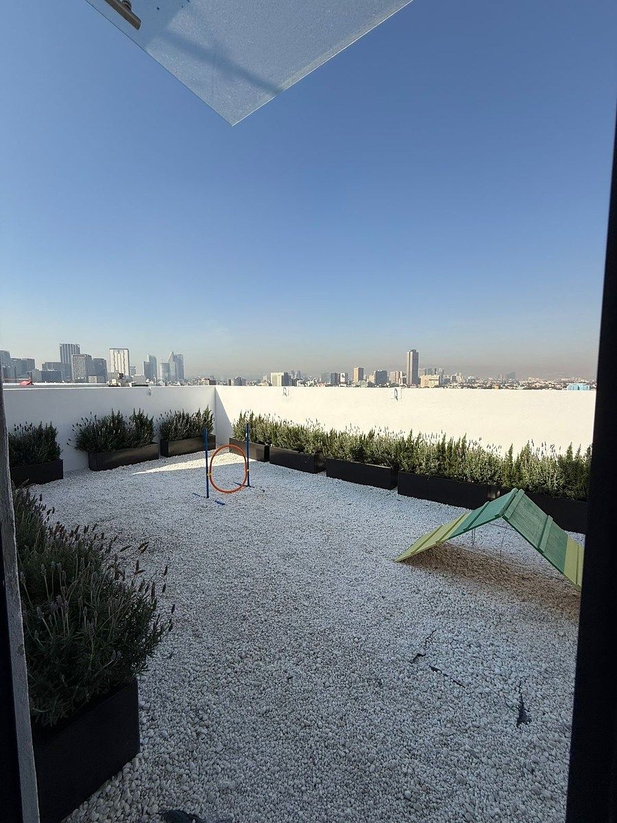 14 de 21: Área de juego mascotas