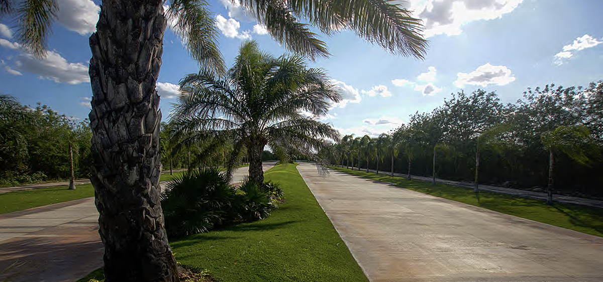 8 de 8: Calles dentro de la privada