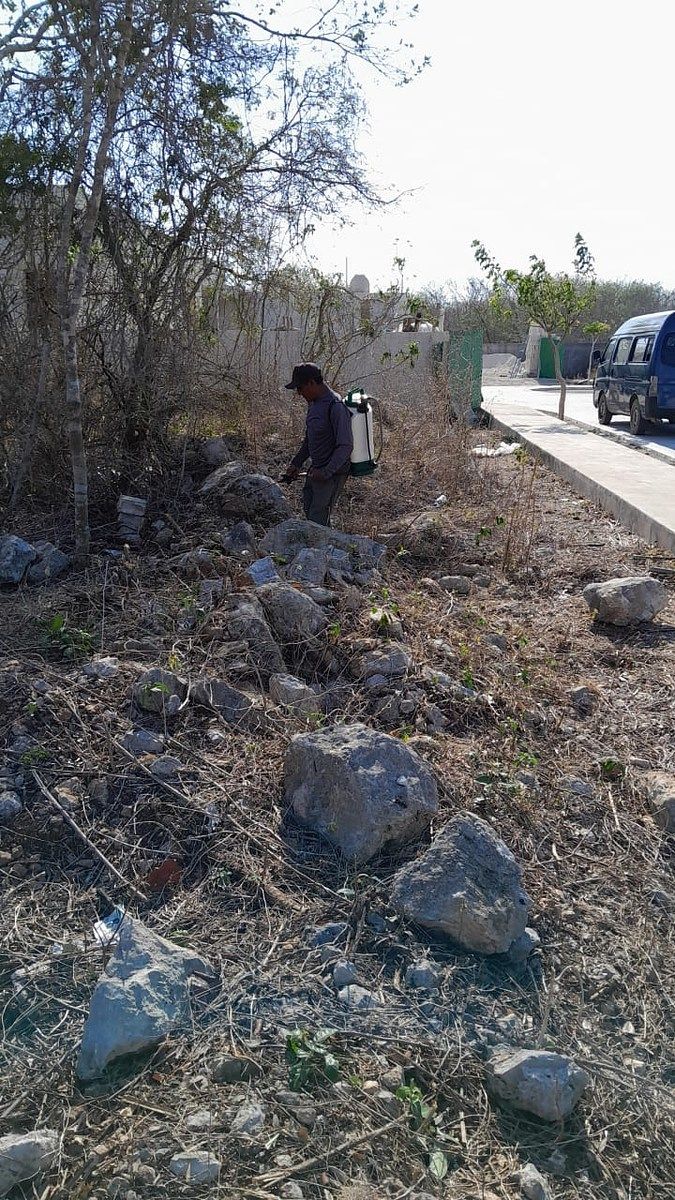 3 de 8: Lote en venta