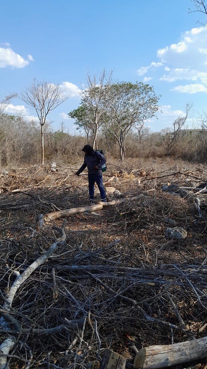 5 de 8: Lote en venta