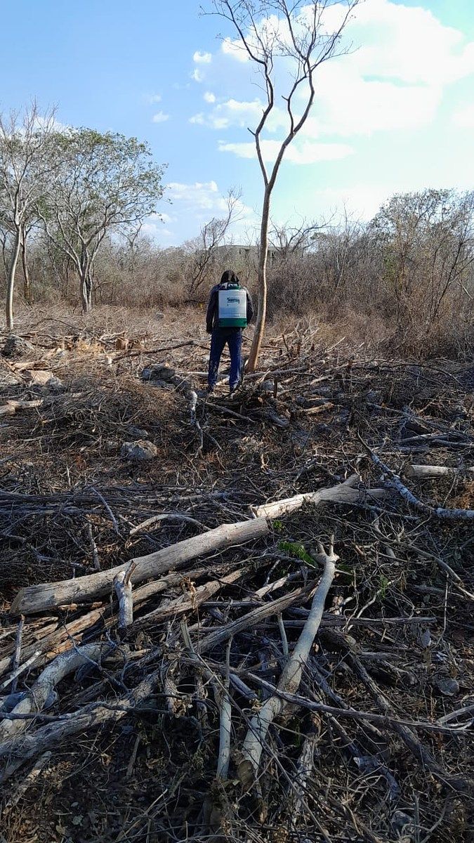 4 de 8: Lote en venta