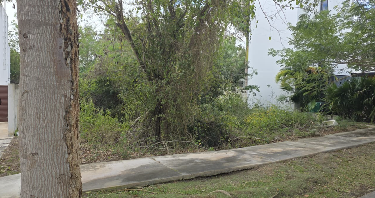 Terreno en Privada Lantia, Cabo Norte - foto 3