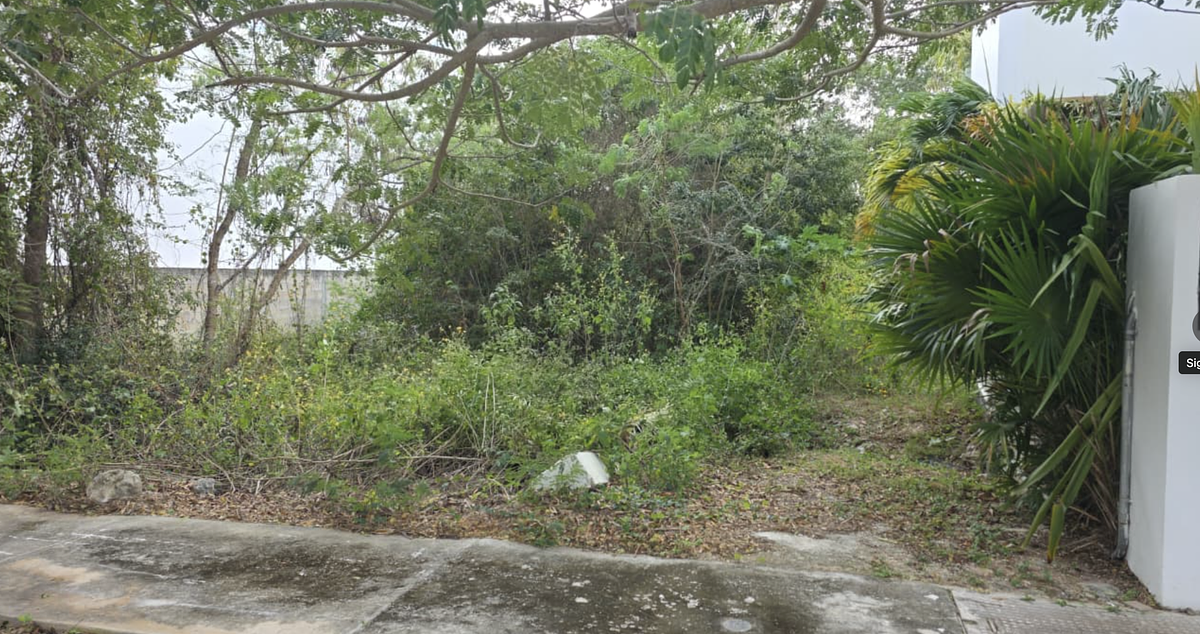 Terreno en Privada Lantia, Cabo Norte - foto 4