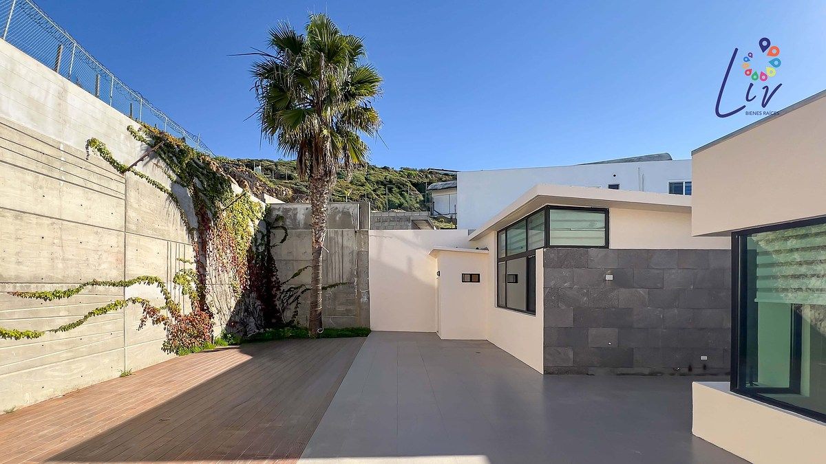 19 de 43: Patio trasero con jardín y palmera