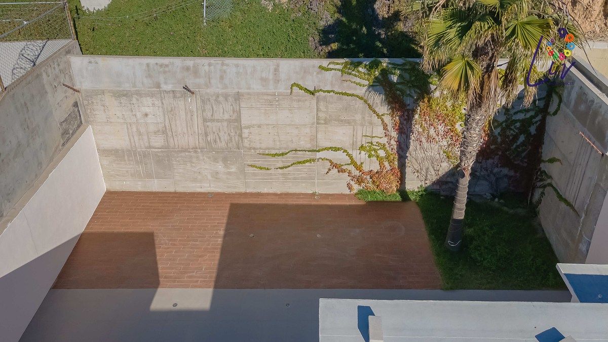 21 de 43: Patio trasero de 127 m2 con medio baño, jardín y palmera