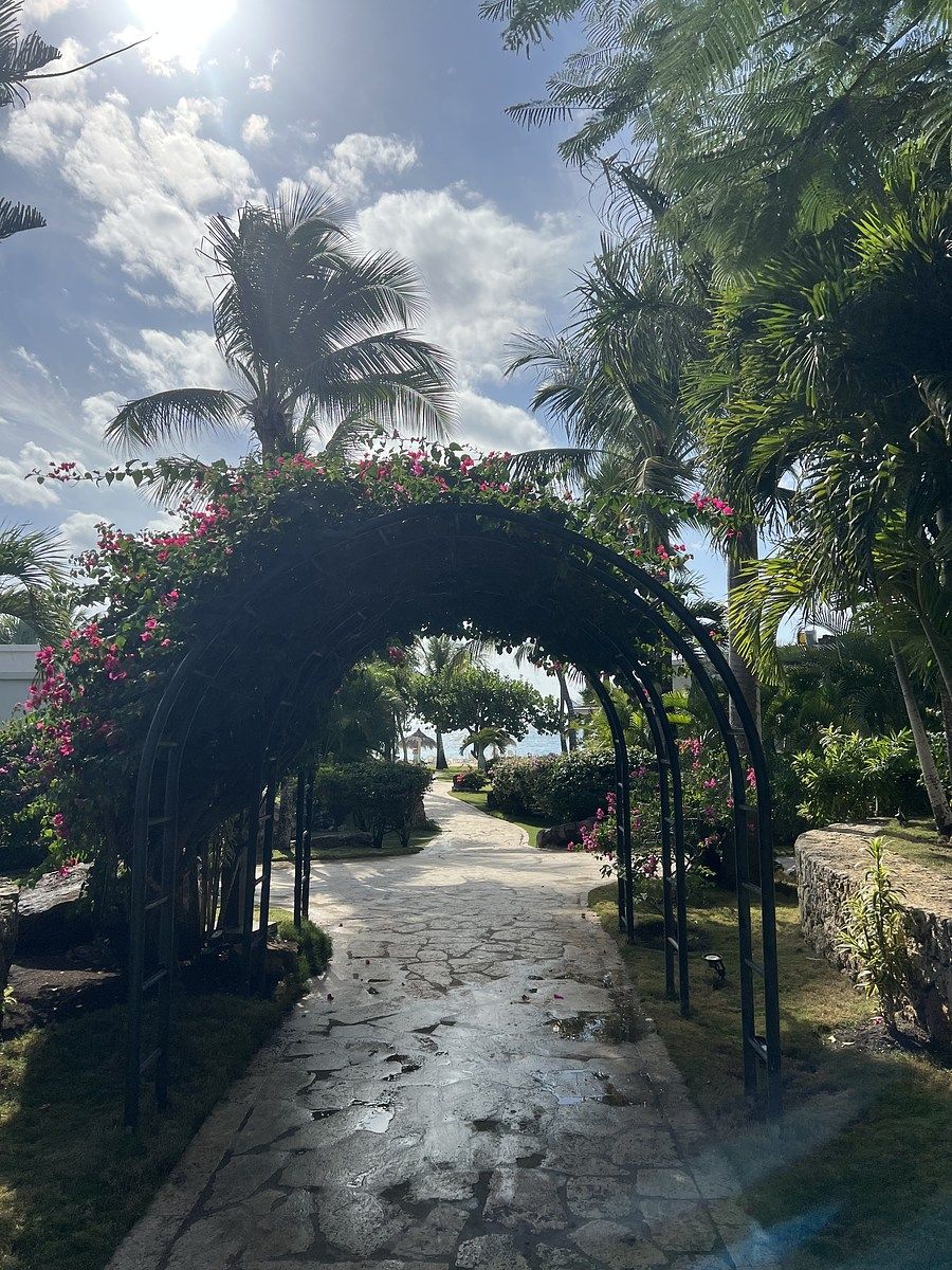 Apartamento en Playa Bayahibe, foto 19 de 20