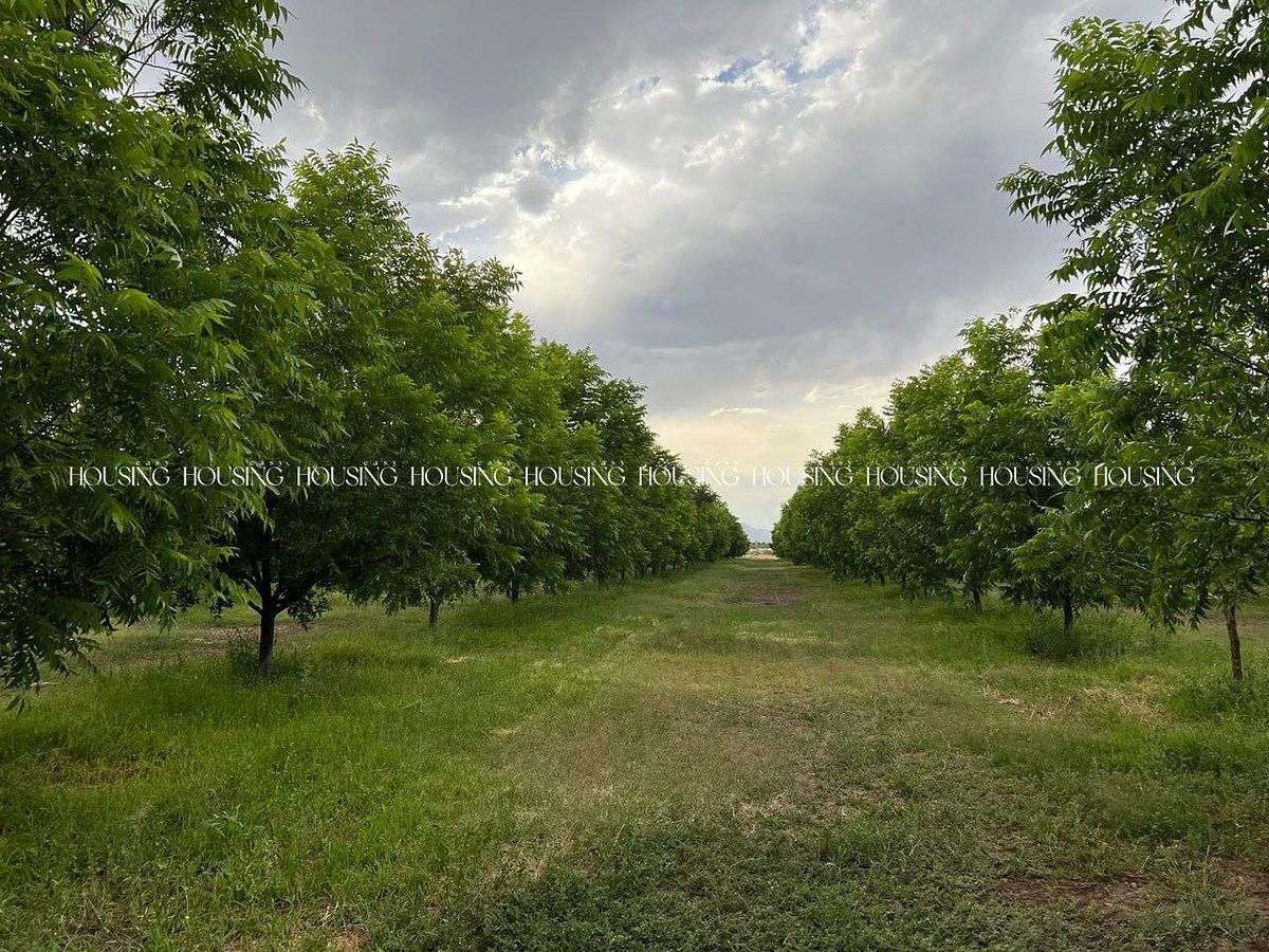 Rancho en Chihuahua I, Chihuahua, foto 5 de 7