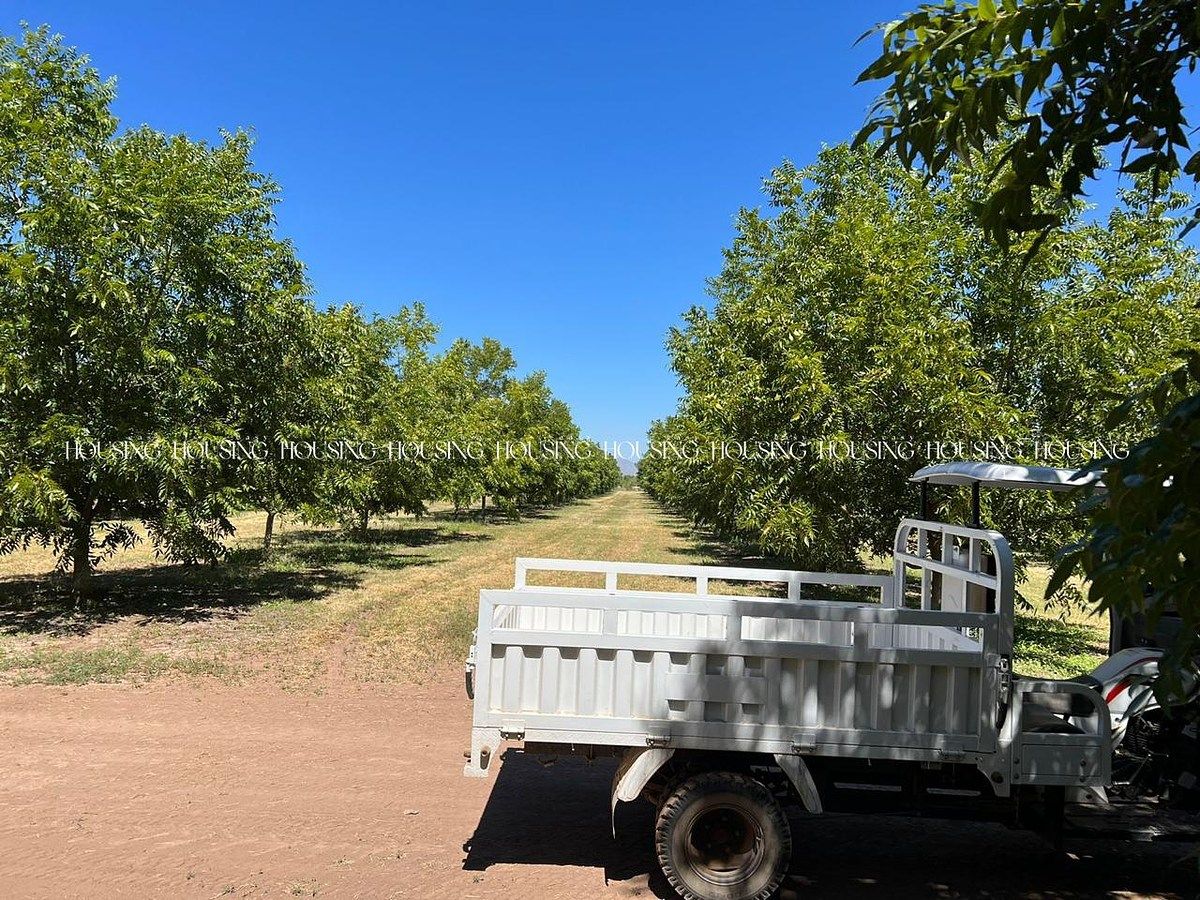 Rancho en Chihuahua I, Chihuahua, foto 4 de 7