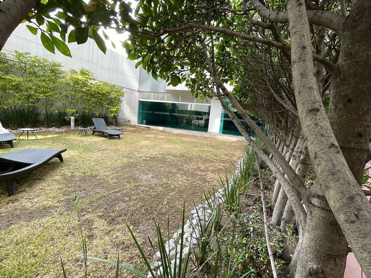 25 of 32: Jardín junto a alberca