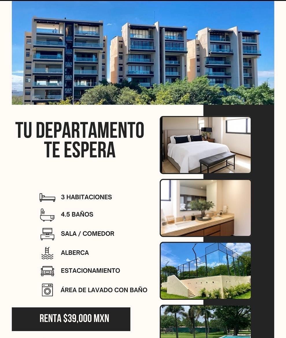 31 de 31