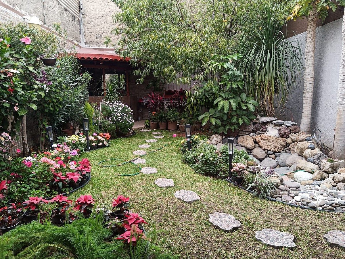 2 de 17: JARDIN TRASERO