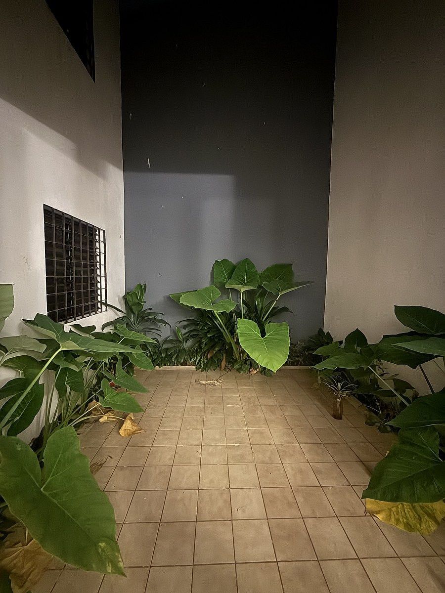 14 de 36: Patio interno para iluminación y ventilación natural sala