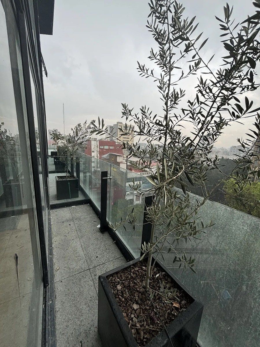 Apartamento em Roma Norte, Cuauhtémoc, foto 5 de 20