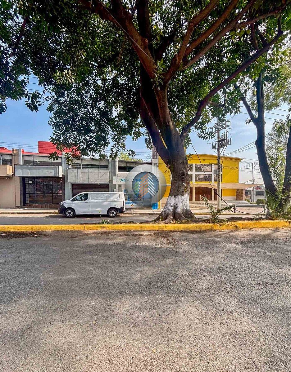 9 de 9: Sobre Avenida